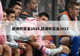 欧洲杯奖金2024,欧洲杯奖金2023