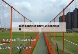 2024年欧洲杯决赛视频,14年欧洲杯决赛