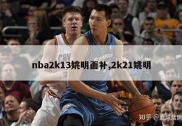 nba2k13姚明面补,2k21姚明