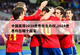 中国赢得2030世界杯主办权,2024世界杯在哪个国家