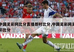 中国足彩网比分直播即时比分,中国足彩网足彩比分