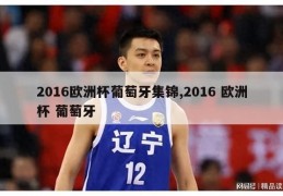 2016欧洲杯葡萄牙集锦,2016 欧洲杯 葡萄牙