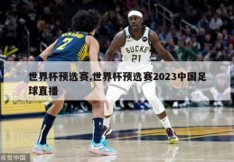 世界杯预选赛,世界杯预选赛2023中国足球直播