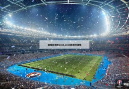 贺炜欧洲杯2024,2020欧洲杯贺炜